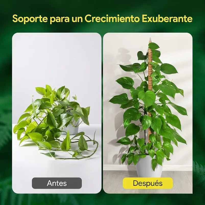 Soporte Tutor En Fibra de Coco Totem Para Plantas Trepadoras X3 Unidades Flexibles  2