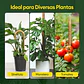 Soporte Tutor En Fibra de Coco Totem Para Plantas Trepadoras X3 Unidades Flexibles  - Miniatura 8