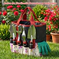 Kit Ergonómico de Herramientas de Jardineria Huerto y Cultivo en Aluminio - Miniatura 5