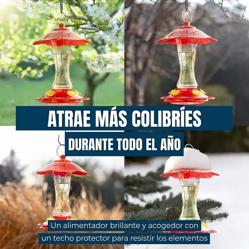 Bebedero Premium de Aves Colibríes Botella en Vidrio x10oz Colgante 5