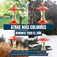 Bebedero Premium de Aves Colibríes Botella en Vidrio x10oz Colgante - Miniatura 5