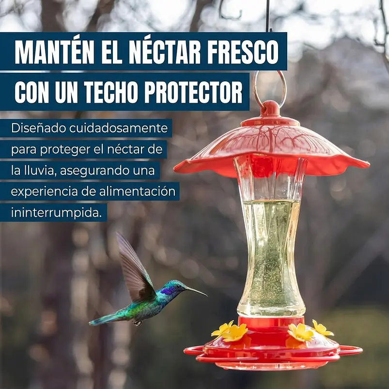 Bebedero Premium de Aves Colibríes Botella en Vidrio x10oz Colgante 8