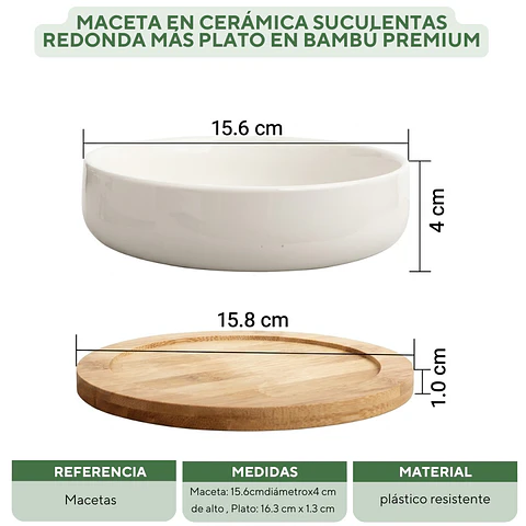 Maceta En Cerámica Suculentas Redonda Más plato En Bambú Premium