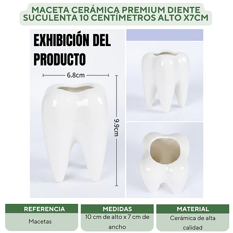 Maceta Cerámica Premium Diente Suculenta 10 centímetros Alto x7cm