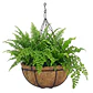 Canasta de colgar para plantas más nido de coco x28 cm diámetro - Miniatura 3