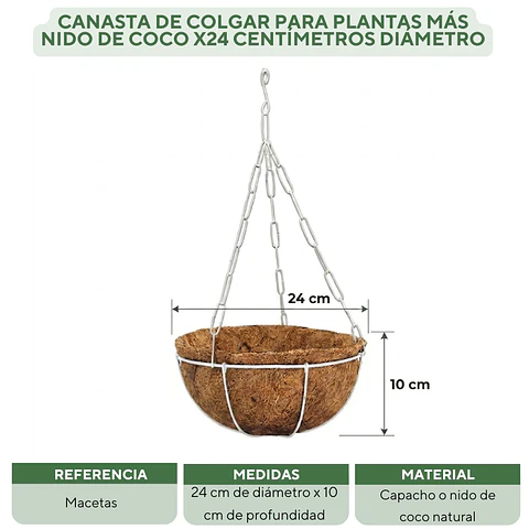 Canasta De Colgar Para Plantas Más Nido De Coco x24 Centímetros Diámetro