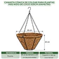 Canasta Cónica de Colgar para Plantas más Nido de Coco x35cm Díametro - Miniatura 2