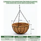 Canasta Colgante Balón Para Plantas Más Nido De Coco 32cm Diámetro - Miniatura 2