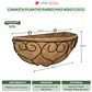 Canasta Plantas Pared x2 Unidades más Nido Coco Corazón x40cm - Miniatura 2