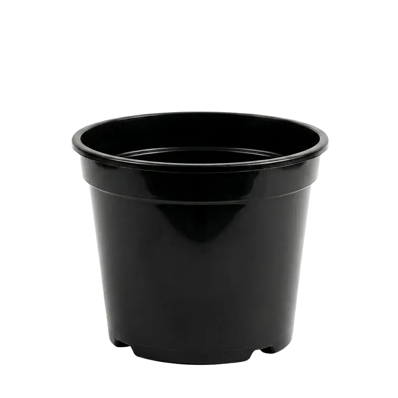 Maceta Plástico Tipo Vivero 12cm x10.5cm x25unidades 1