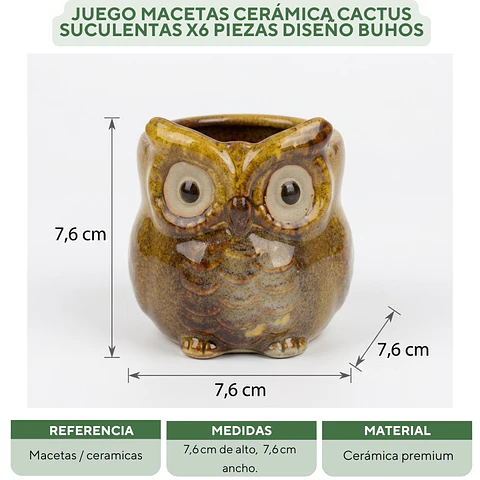 Juego Macetas Cerámica Cactus Suculentas x6 Piezas Diseño Buhos