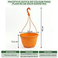 Maceta Plástica De Colgar Para Plantas De 25cm Diámetro - Miniatura 2