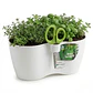 Maceta Plástica Blanca 25cm x12cmx12cm Más Tijera 3 Laminas - Miniatura 3