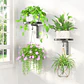 Set 2 Soportes Pared Con Ganchos Plantas Metal Resistente - Miniatura 3