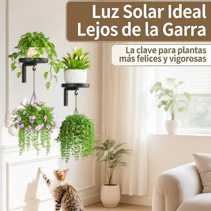 Set 2 Soportes Pared Con Ganchos Plantas Metal Resistente 4