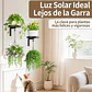 Set 2 Soportes Pared Con Ganchos Plantas Metal Resistente - Miniatura 4