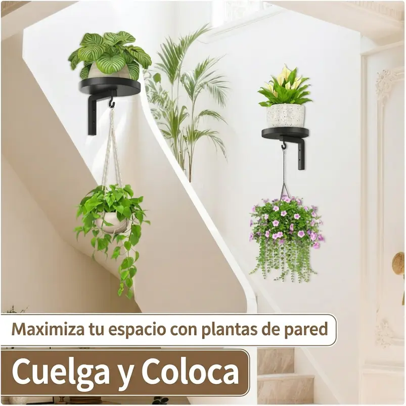 Set 2 Soportes Pared Con Ganchos Plantas Metal Resistente 7