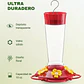 Bebedero De Colibries Aves Vidrio Premium Colgante Para Jardines - Miniatura 4