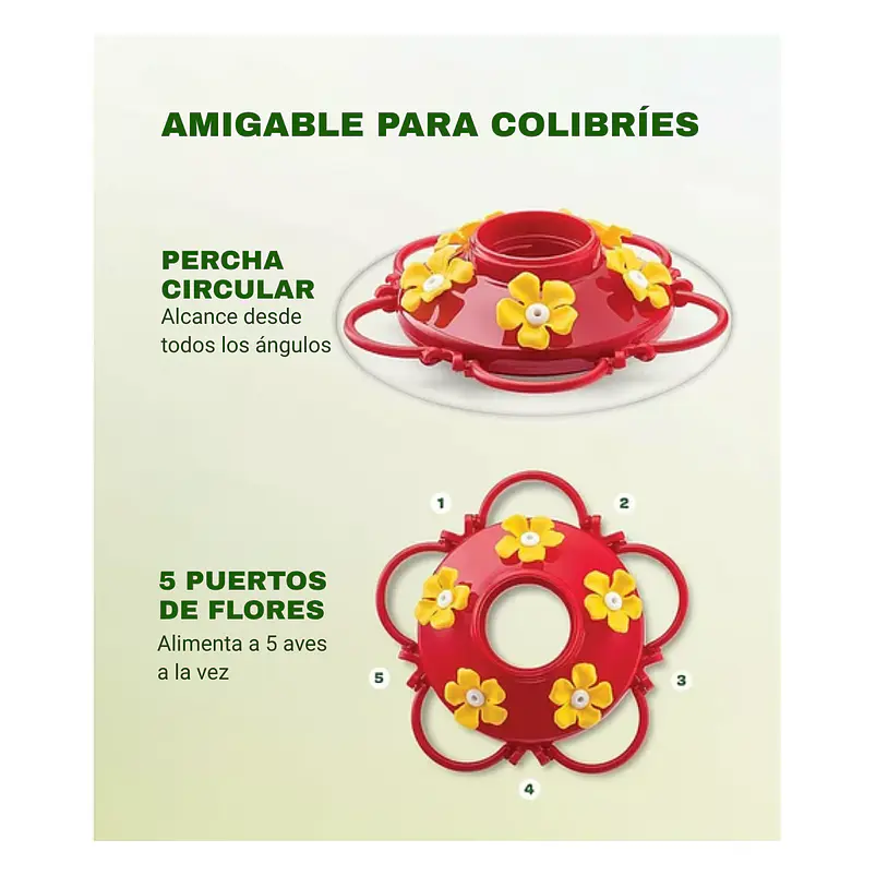 Bebedero De Colibries Aves Vidrio Premium Colgante Para Jardines 6