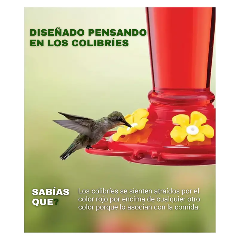 Bebedero De Colibries Aves Vidrio Premium Colgante Para Jardines 7