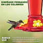 Bebedero De Colibries Aves Vidrio Premium Colgante Para Jardines - Miniatura 7