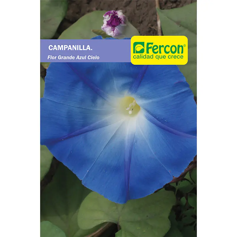 Semillas de Flores y Plantas Ornamentales para Jardín 1