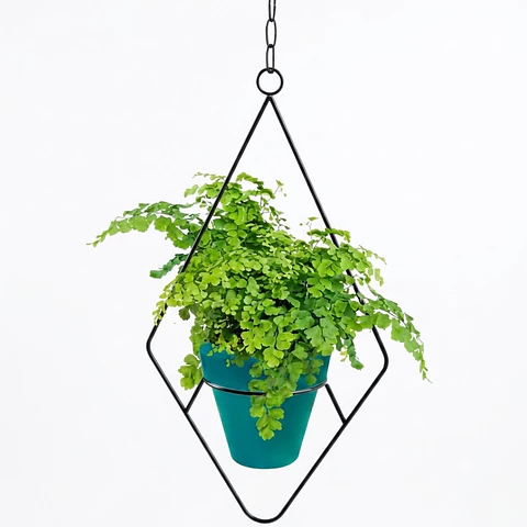 Soporte de Plantas Diseño Rombo Para Macetas Colgante 48cms Alto x 13cm Diámetro