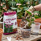 Sustrato Para Anturios 1kg Alta Aireación y Drenaje - Miniatura 3