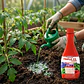 Fertilizante Forza Triple 15 Líquido 240cc Balanceado - Miniatura 3