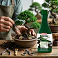 Fertilizante Forza Banzai Gel 240cc Nutrición Bonsái - Miniatura 3