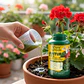 Fertilizante Evergreen Antura 250cc Potencia Floración - Miniatura 3