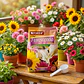 Fertilizante De Plantas 10-30-10 Florescencia Forza Bolsa x1kg - Miniatura 2