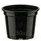 Maceta de Siembra Tipo Vivero x50 Unidades 14cm Diámetro x12 Alto P14 - Miniatura 1