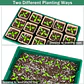 Kit 6 Bandejas Germinación 120 Macetas Turba más Herramientas - Miniatura 4