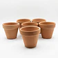 Maceta Arcilla 10cm Diametro x9cm Alto Pack x6 Unidades - Miniatura 3