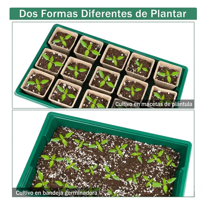 Kit Semillero de Bandejas de Germinación y Cultivo  4