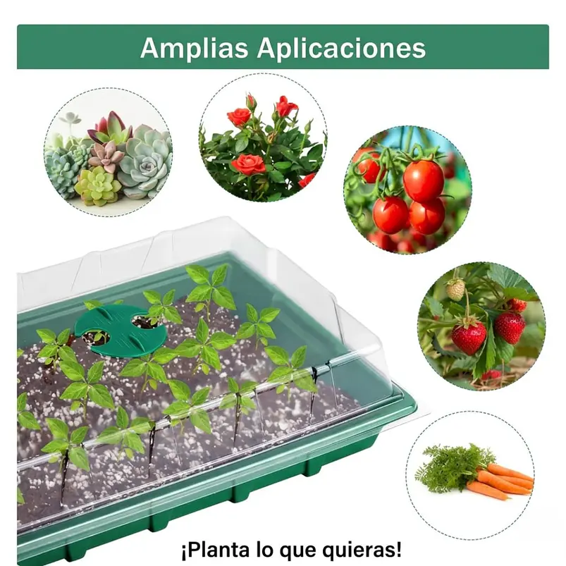 Kit Semillero de Bandejas de Germinación y Cultivo  6