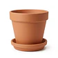 Maceta Arcilla 8cm Diametro 7cm Alto Más Plato Pack x6 Unidades - Miniatura 3