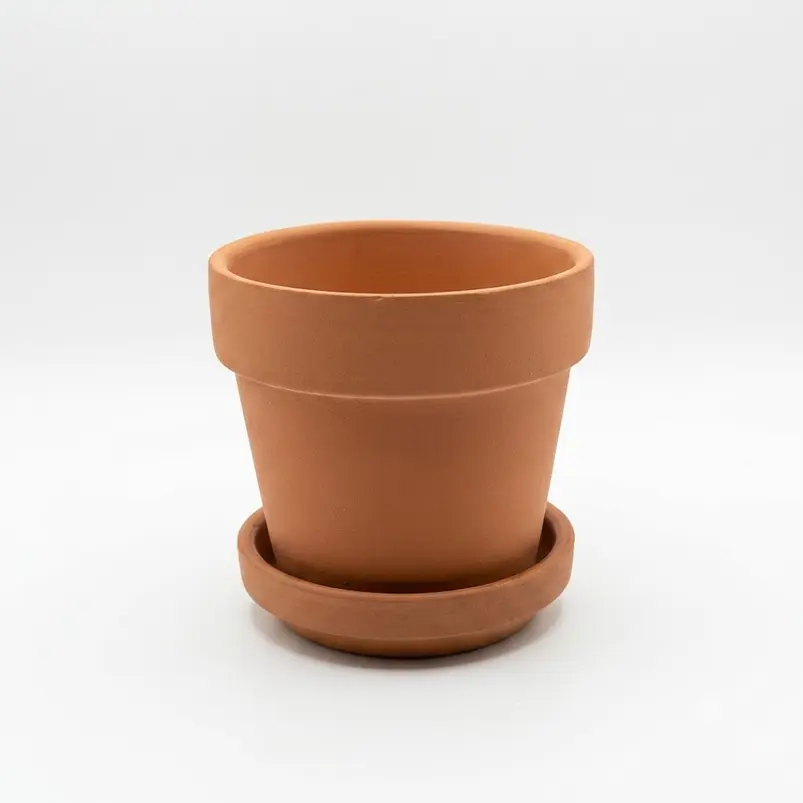 Maceta Arcilla 8cm Diametro 7cm Alto Más Plato Pack x6 Unidades 4