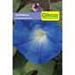 Semillas de Flores y Plantas Ornamentales para Jardín - Miniatura 1
