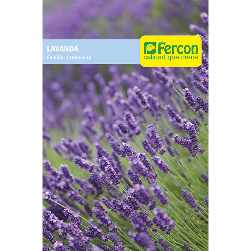 Semillas de Flores y Plantas Ornamentales para Jardín 3