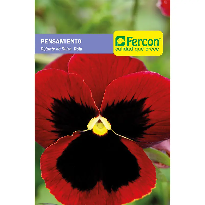 Semillas de Flores y Plantas Ornamentales para Jardín 5