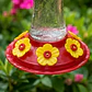 Accesorios y Repuestos para Bebedero de Colibríes  - Miniatura 3