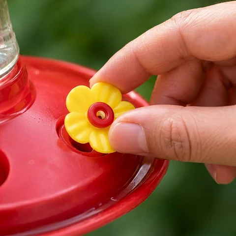Accesorios y Repuestos para Bebedero de Colibríes 