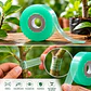 Cinta De Injerto De Alta Elasticidad X100 Metros - Miniatura 4