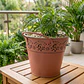 Maceta Metálica Decorativa Para Jardín Y Hogar - Miniatura 5