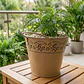 Maceta Metálica Decorativa Para Jardín Y Hogar - Miniatura 7