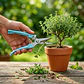 Tijera De Punta Larga Ergonómica Para Jardinería - Miniatura 4