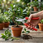 Tijera De Punta Larga Ergonómica Para Jardinería - Miniatura 7