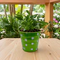 Maceta Metálica Decorativa Para Jardín Y Hogar - Miniatura 14